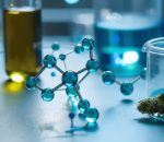 THCP Biosynthesis Reveals Why This Cannabinoid Is 33x More Potent Than THC