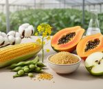 How Genetic Engineering Transformed These 7 Crops Into Agricultural Powerhouses